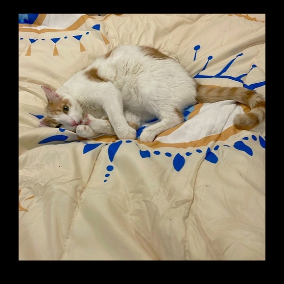 🪬🆒🔥☄️🧯🚒🫵🏼ALL DAY GIVEAWAY GIFTS 🎁 ToDaY during live - Picture 3 of 4